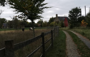 STE HONORINE LA CHARDONNE